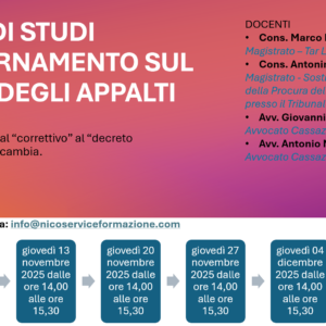 11° Webinar Online